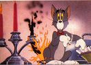 Tom si Jerry