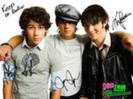 jonas brothers