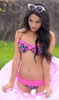 vanessa_hudgens_bikini_candies3_lg[1]