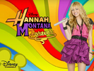 Hannah Montana Forever (206)