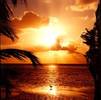 florida_apartment_sunrise_florida_info