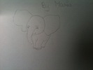 an elephant