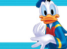 donald (5)