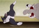 Tom si Jerry