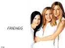 Friends-Wallpapers-friends-3465910-1024-768