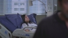 grey\'s anatomy