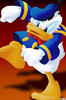 donald (4)