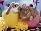 easter-wallpaper-003-1024[1]