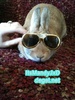 my bunny