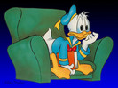 donald (2)