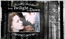 twilight_background_kristen_twiligh