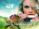 Taylor-wallpaper-taylor-swift-13818558-1024-768