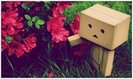 Danboard_in_the_Garden_by_Cyantre