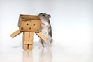 3-cute-funny-danbo-cardboard-box-art-sharing-secrets