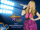 Hannah Montana Forever (144)