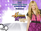 Hannah Montana Forever (138)