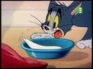 Tom si Jerry