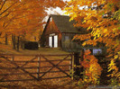 autumn-barn-in-fall-leaves-wallpapers-1024x768