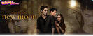 banner_header_new-moon