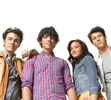 Jonas-Demi-the-jonas-brothers-8736392-500-450