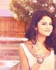 sel (23)