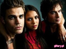 `TVD