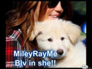 Thanks ProtectMileyRayMeX (10)