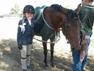 Horse Show15