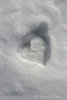 <=> Snow Heart <=>