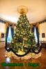 The Official White House Christmas Tree stands in the Blue Room of the White House