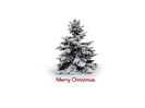 xmas_0031