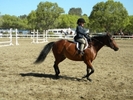 Horse Show33