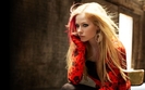 AbbeyDawn (6)