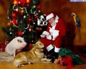 babbo_natale_7