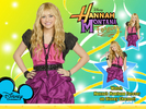 Hannah-Montana-4ever-EXCLUSIVE-wallpapers-by-dj-hannah-montana-13660126-1024-768