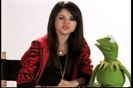 Year of the Frog Promo (5)