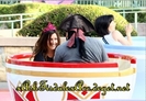 Disneyland 3