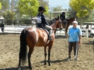 Horse Show20