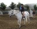 2010 Horse Show (16)