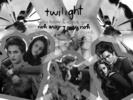 Twilight-twilight-series-3580839-800-600[1]