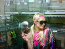 My new African Grey Parrot and Me.his name is Hank