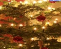 alberi_di_natale_7