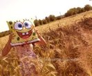 spongebob_by_crissucupcake-d412c1h_thumb