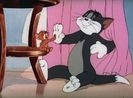 Tom si Jerry