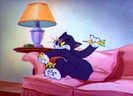 Tom si Jerry