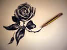 drawing <3..my pasion