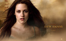 Wallpaper_Bella_1680x1050