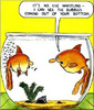 whistling_fish_cartoon_funny[1]