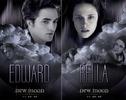 The_Twilight_Saga_New_Moon_1241027786_1_2009