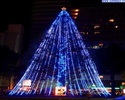 alberi_di_natale_22